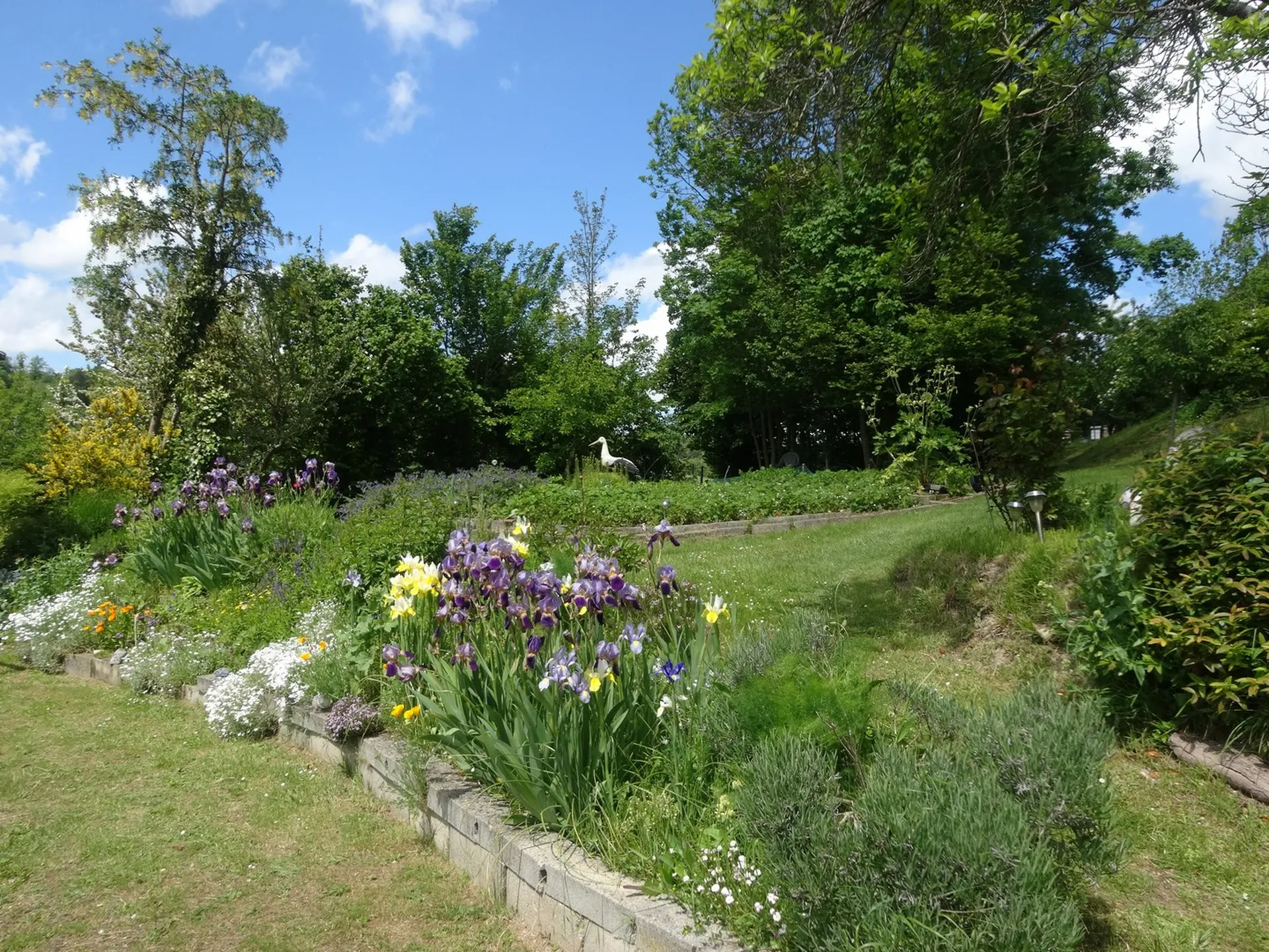 RECHERCHE MAISON FALAISE, NORMANDIE CALVADOS 14