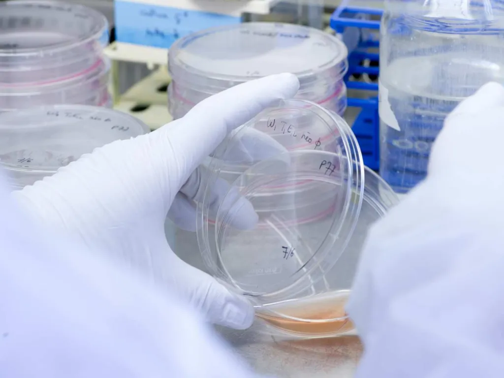 photographe spécialisé pour centre de recherche en santé salle de culture plan serré