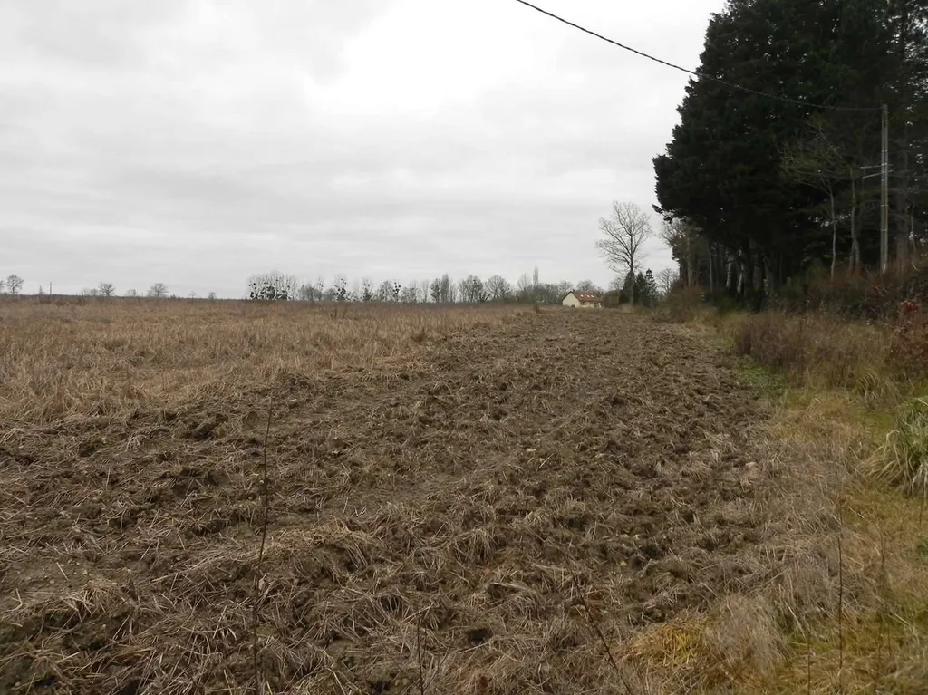 PAYS D'AUGE Entre LISIEUX et CAMBREMER (CALVADOS) A vendre TERRAIN AGRICOLE : 8HA 65A