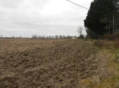 PAYS D'AUGE Entre LISIEUX et CAMBREMER (CALVADOS) A vendre TERRAIN AGRICOLE : 8HA 65A
