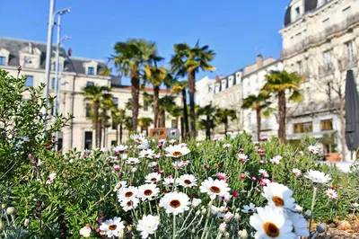 Réserver votre chauffeur VTC pour un transfert Marseille ou alentours / Valence (26000)