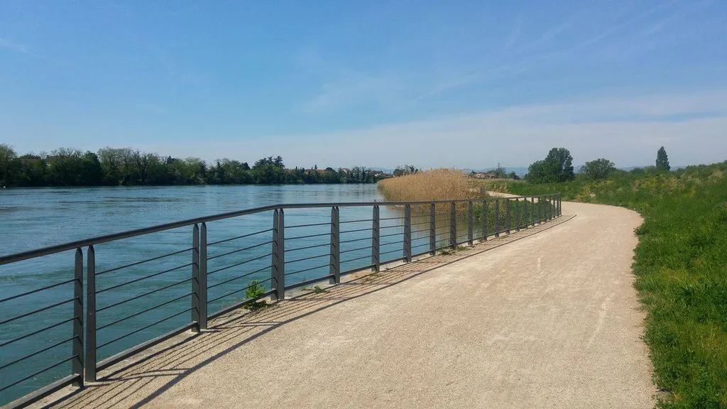 Location de vélos gravel à Lyon pour aller au grand parc de Miribel Jonage