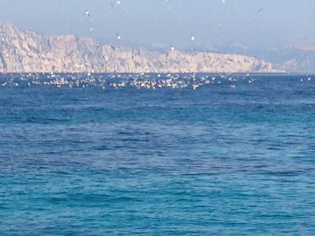 calanques's visit by speedboat