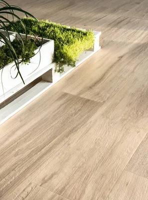 juste venice outdoor gardenia