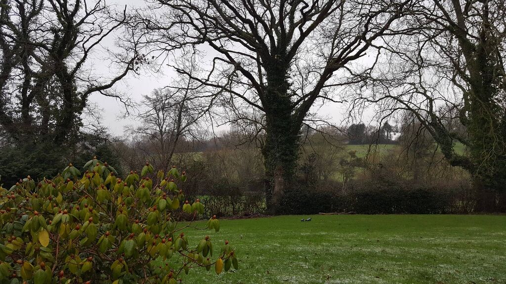 Vend maison dans un environnement privilégié à 10 minutes de Lisieux Calvados 14100