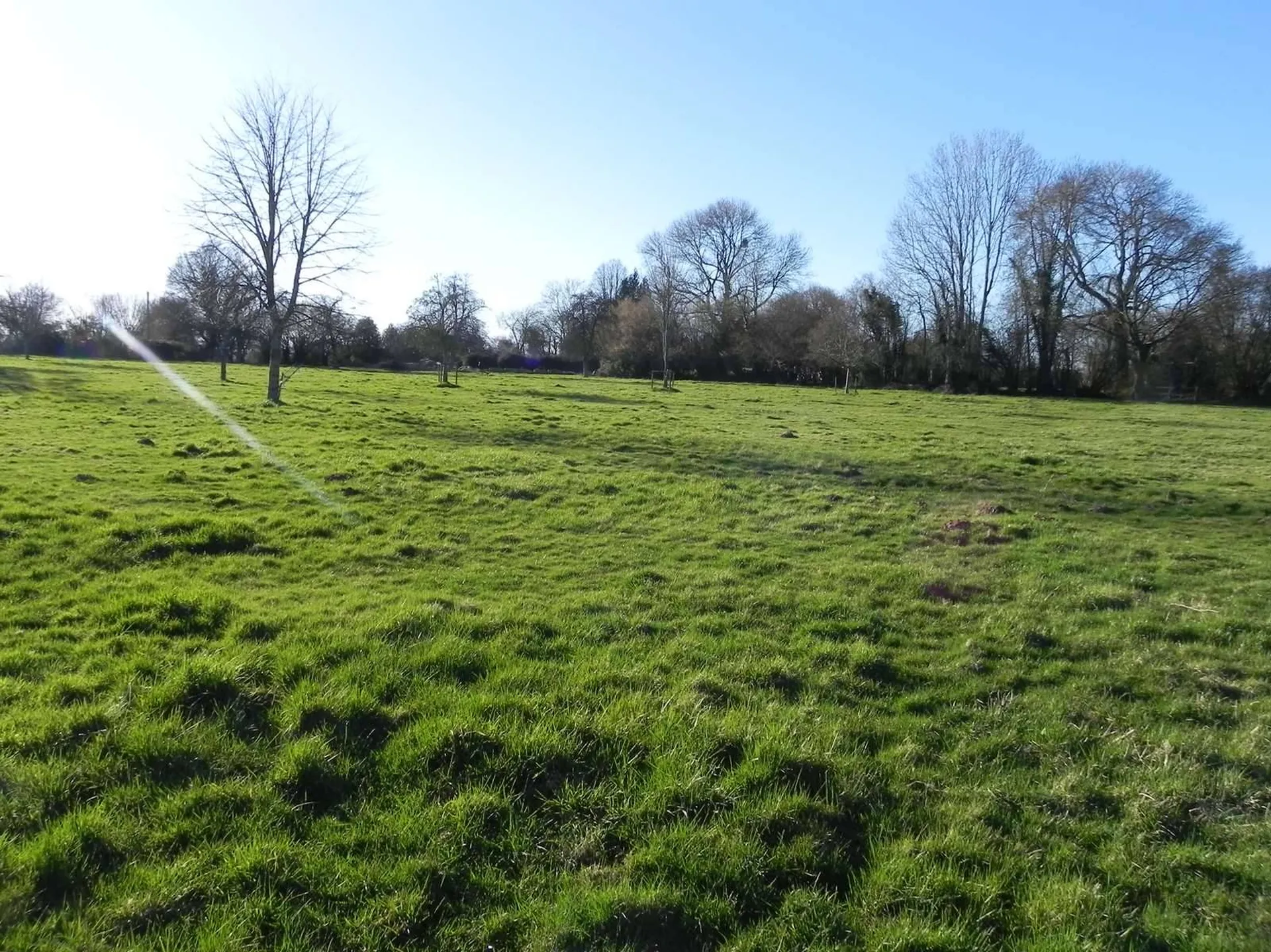 A vendre dans le PAYS D'AUGE (CALVADOS)  Secteur de MOYAUX (14590) Terrain agricole