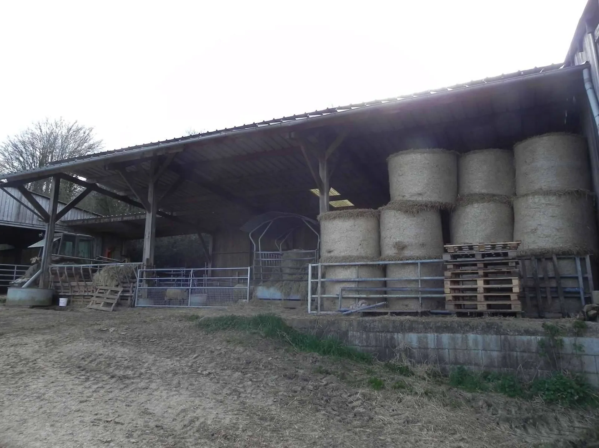 A acheter propriété à vocation agricole idéal chevaux, bovins, moutons, dans le Pays d'Auge 14