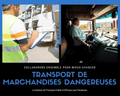  Le conseiller à la sécurité pour le transport de marchandises dangereuses