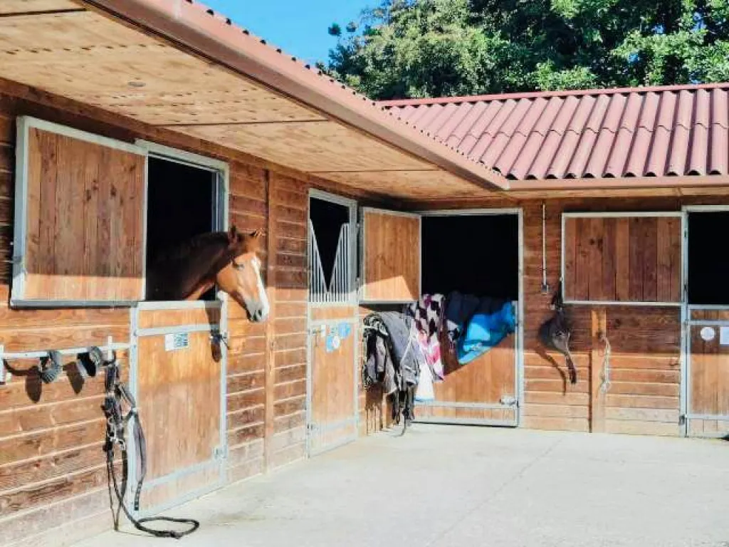 A saisir propriété équestre avec piscine édifiée sur 1.7 hectares de terrain sur la commune de EPINAY SUR DUCLAIR 76480