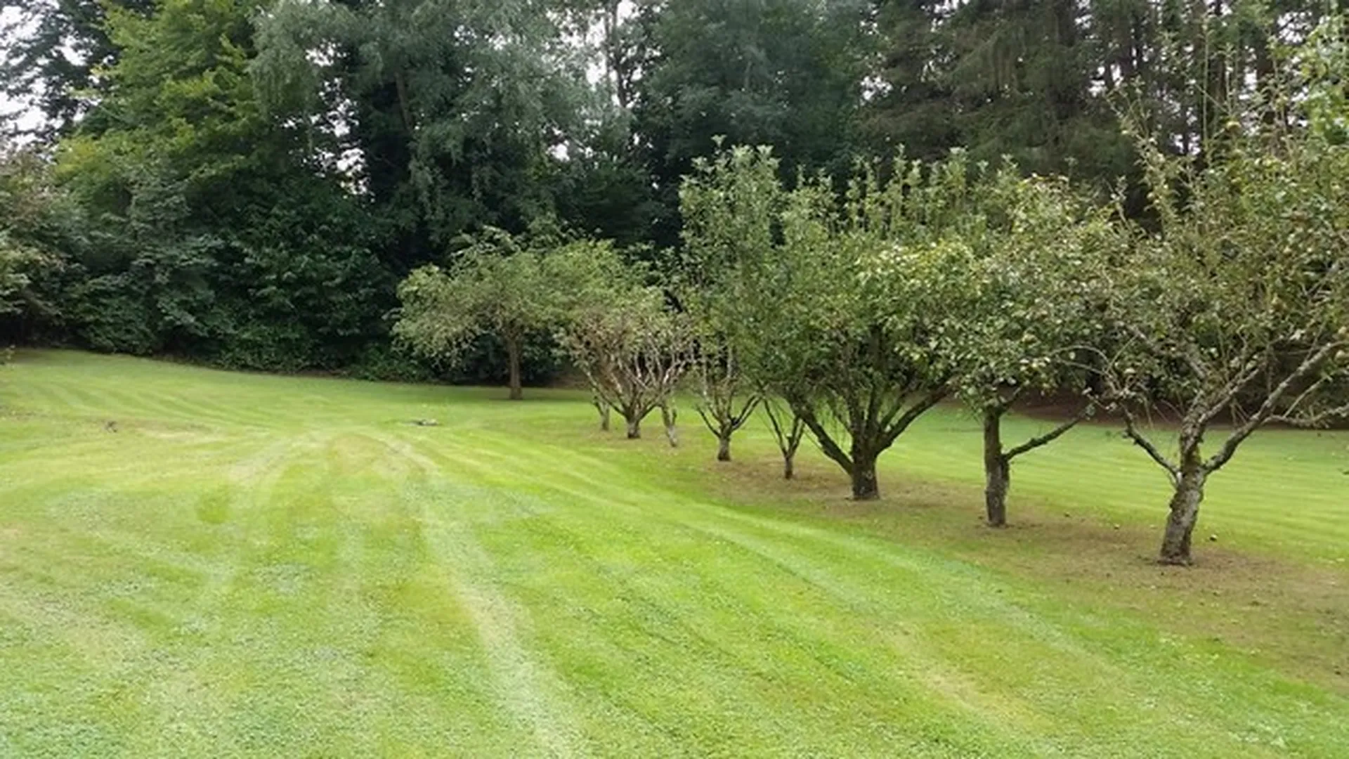 Recherche grande propriété d'exception avec piscine