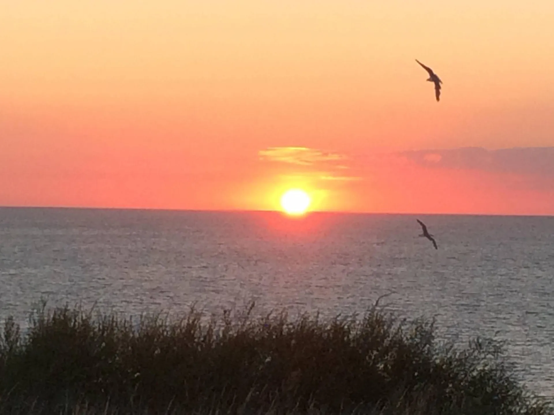 MAISON VUE MER - CRIEL SUR MER