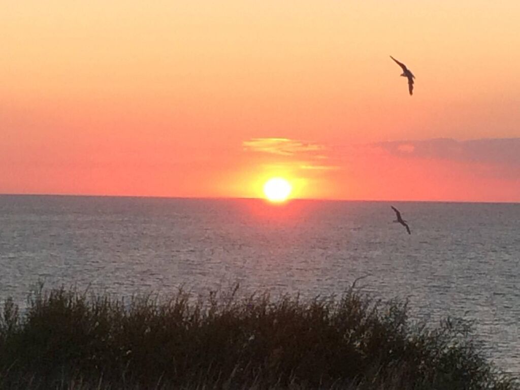 MAISON VUE MER - CRIEL SUR MER