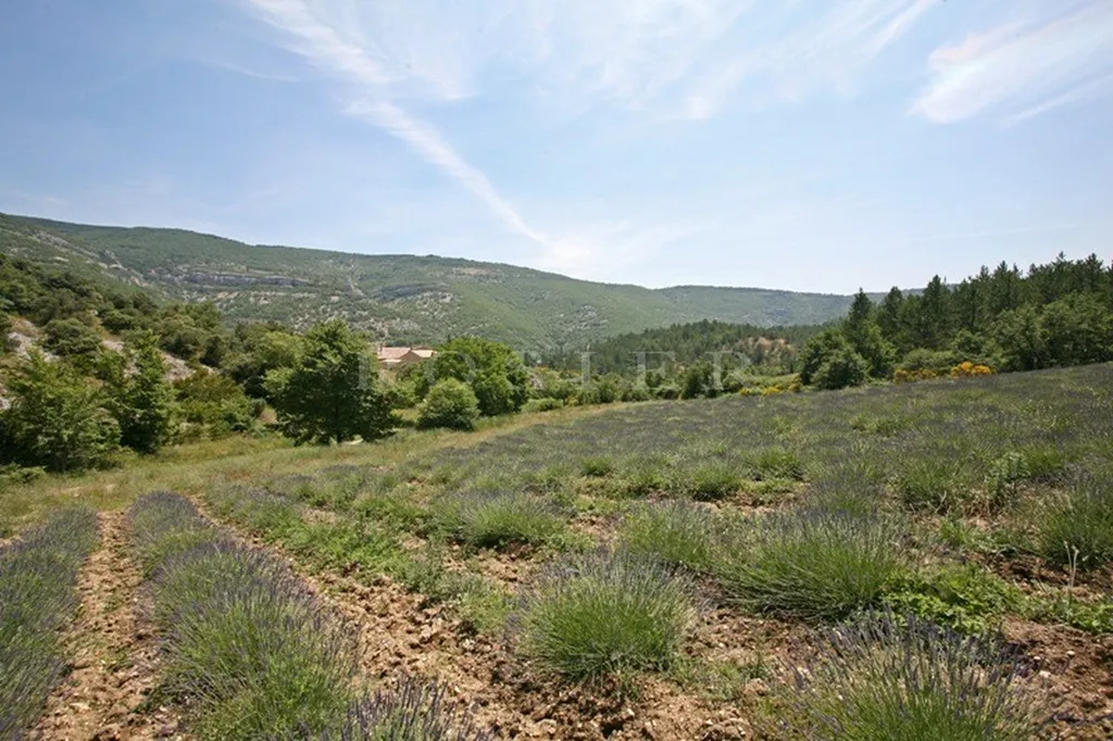 Superbe ensemble de bâtiments au coeur de + de 28 hectares  proche du mont Ventoux  