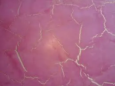 STUCCO CRAQUELE RESIDENCE PARIS