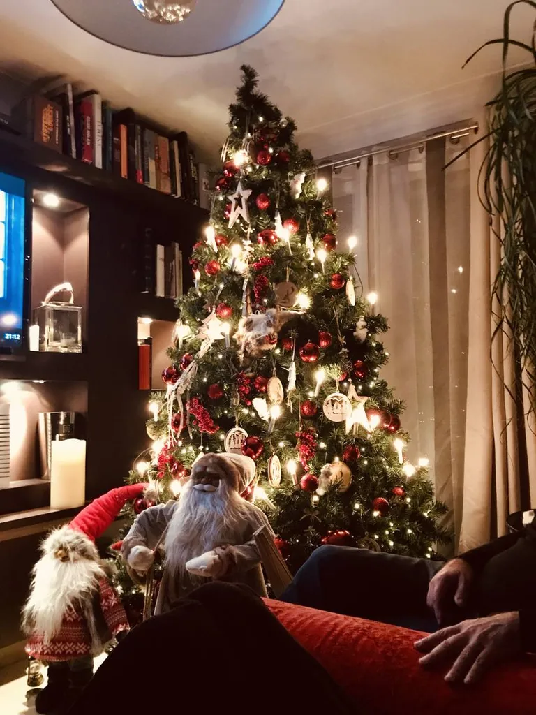 VOS SAPINS DE NOËL par FH Fleuriste