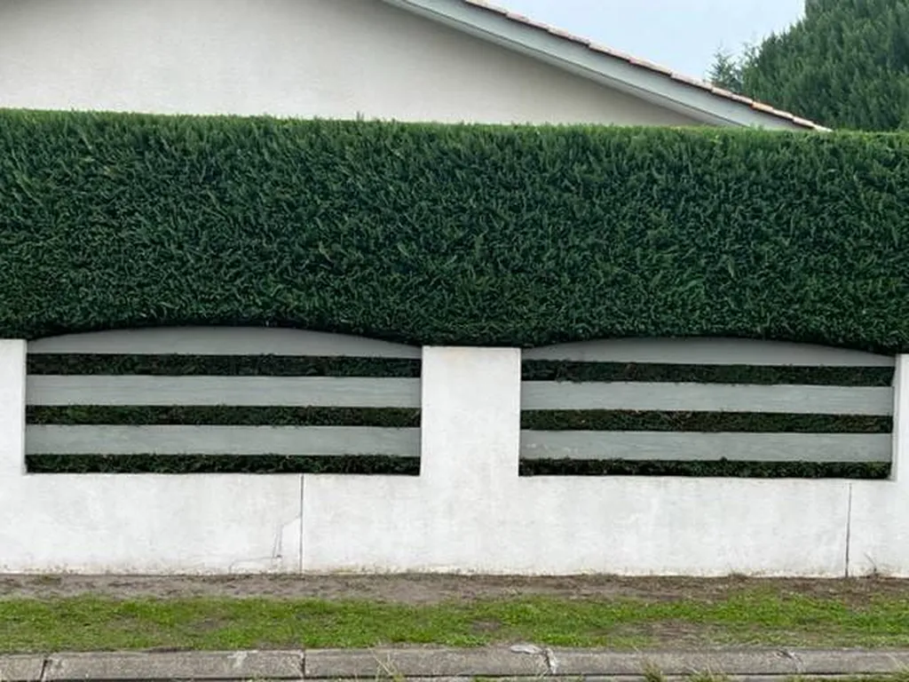Faire la taille d’une haie de cyprès dans une résidence située à Sanguinet