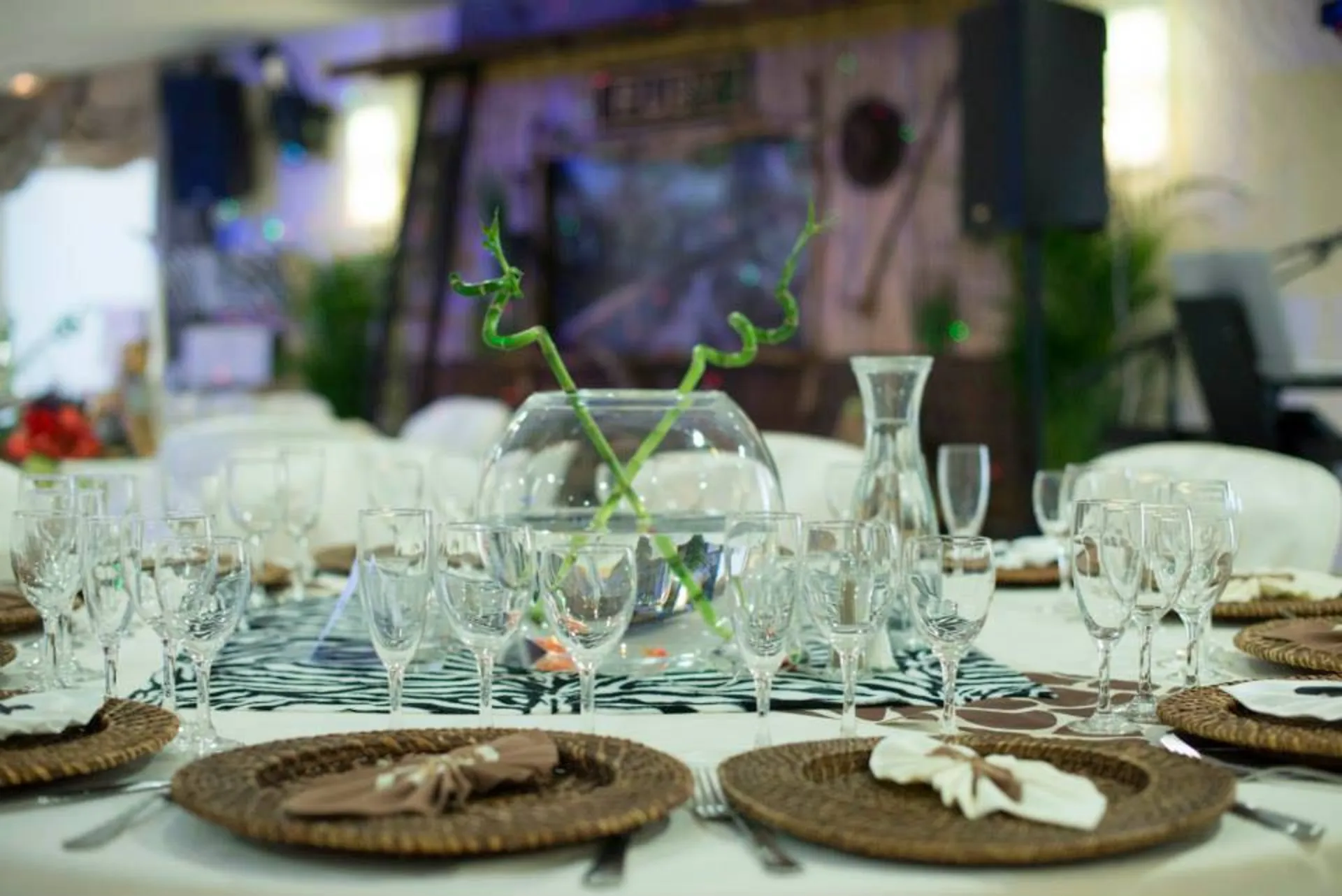 Salle de réception pour baptème dans les Bouches du Rhône sur le thème de la jungle