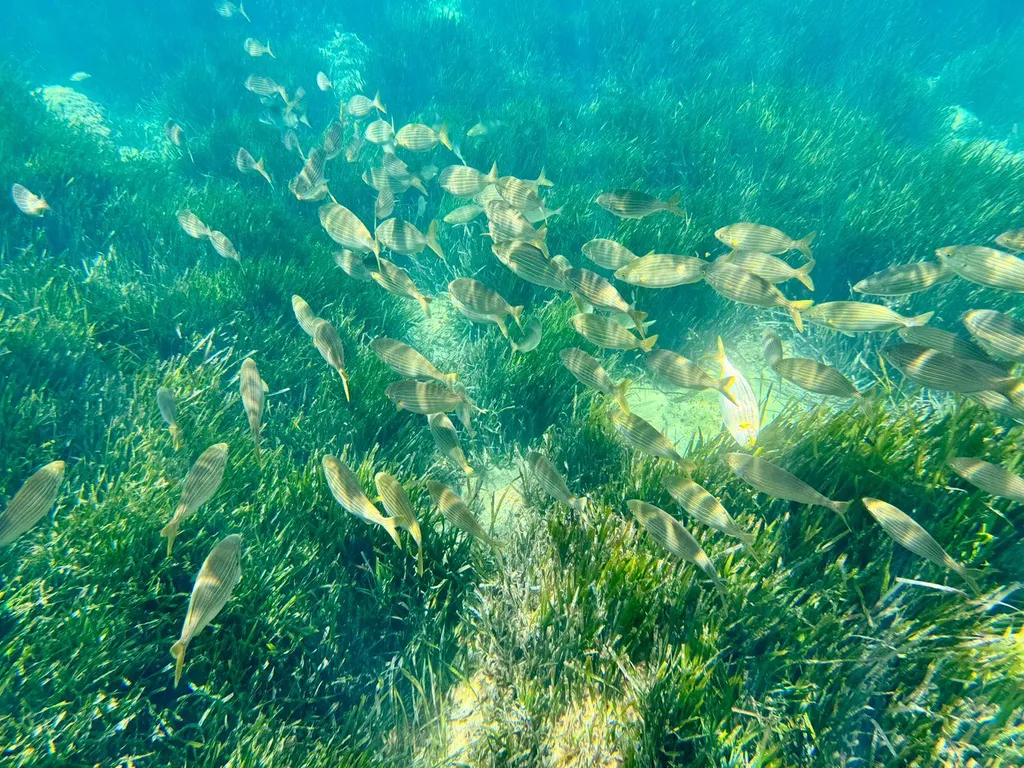 Les falaises impressionnantes de l'Oule offrent un cadre époustouflant pour une aventure en mer.
