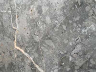 Marbre gris Fior di Bosco