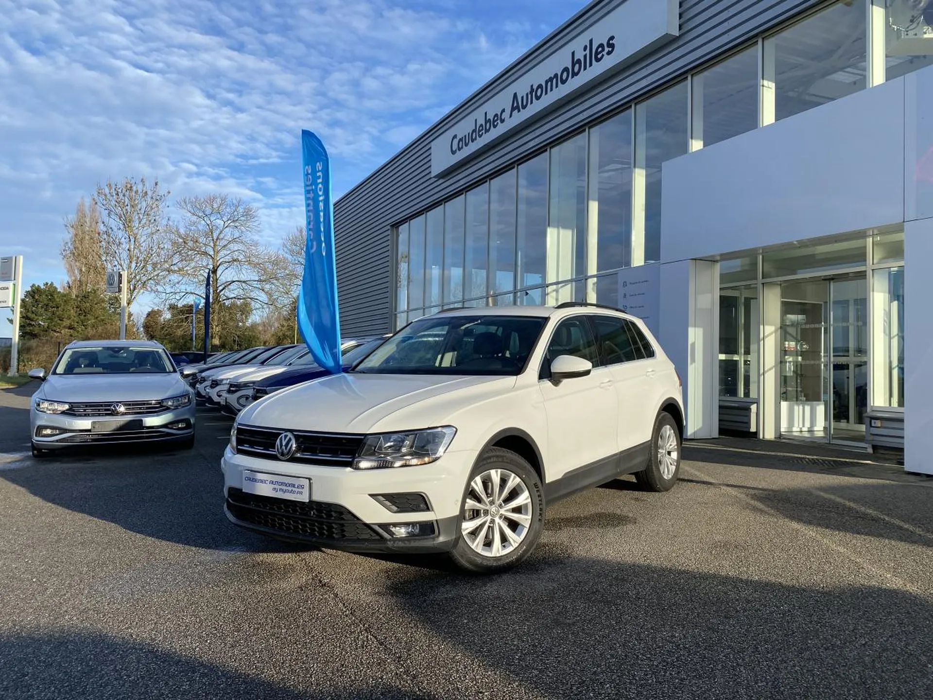 Volkswagen Tiguan 2.0 TDI 150 Confortline Business d'occasion