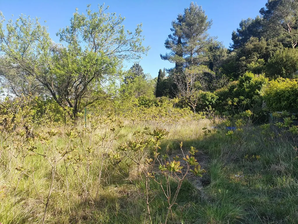 Terrain à vendre sur Solliès-Toucas