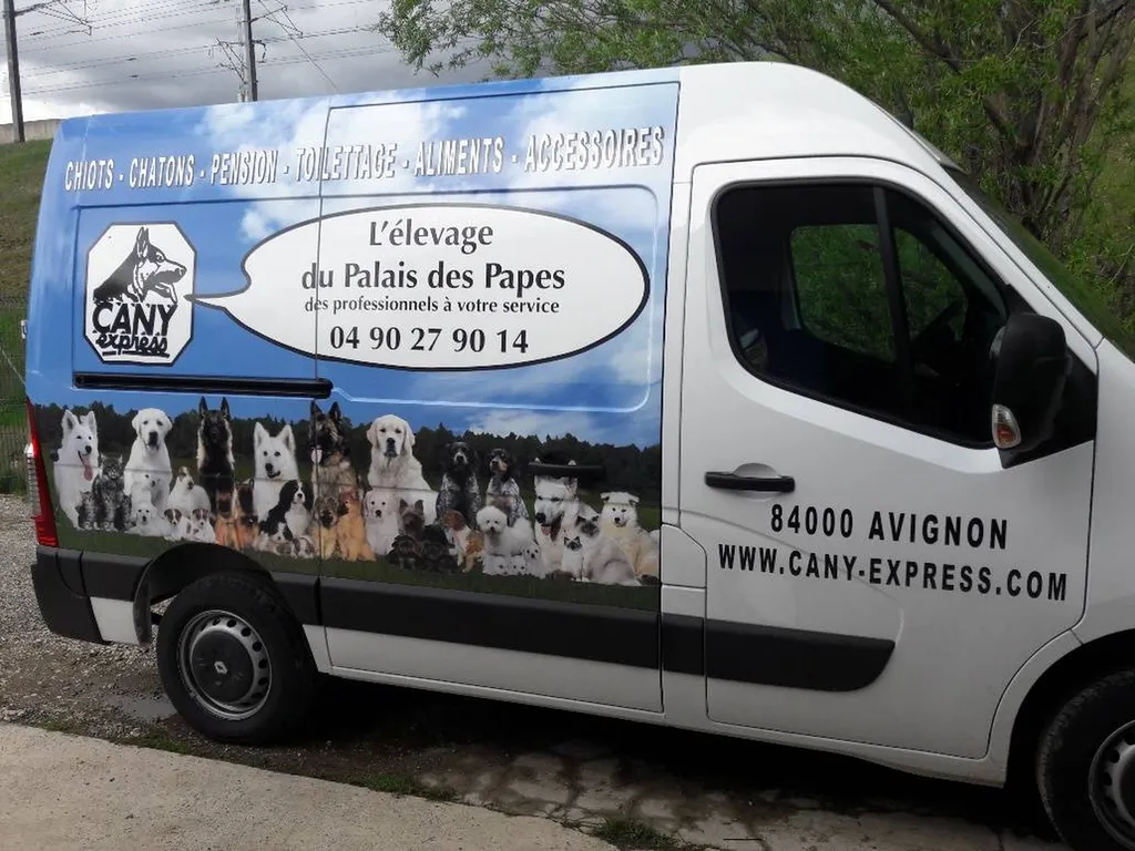 véhicule de taxi félin à Avignon