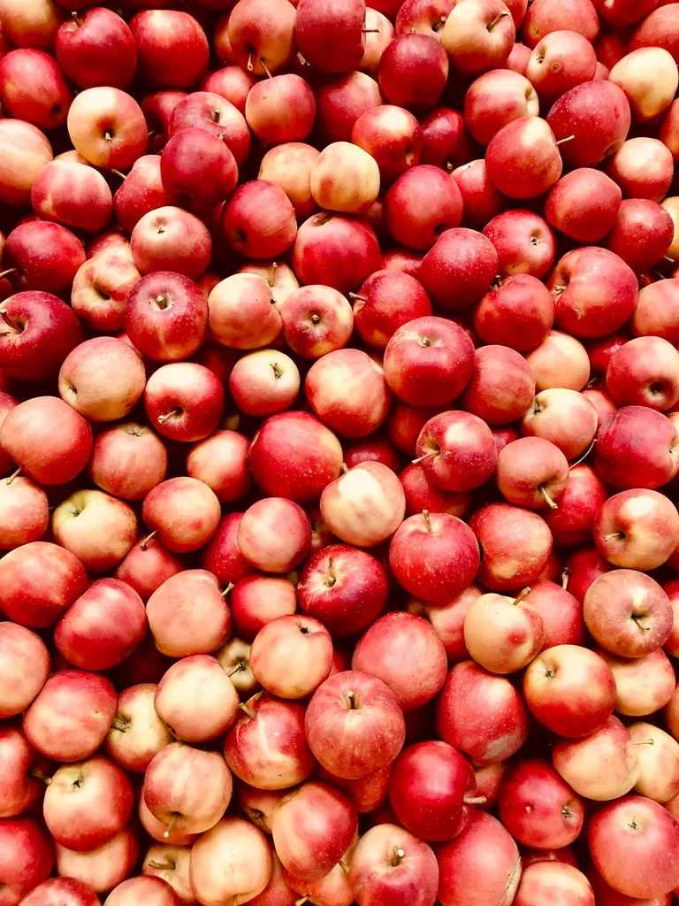 Livraison de Pommes Bio produit en Provence en point relais à Marseille