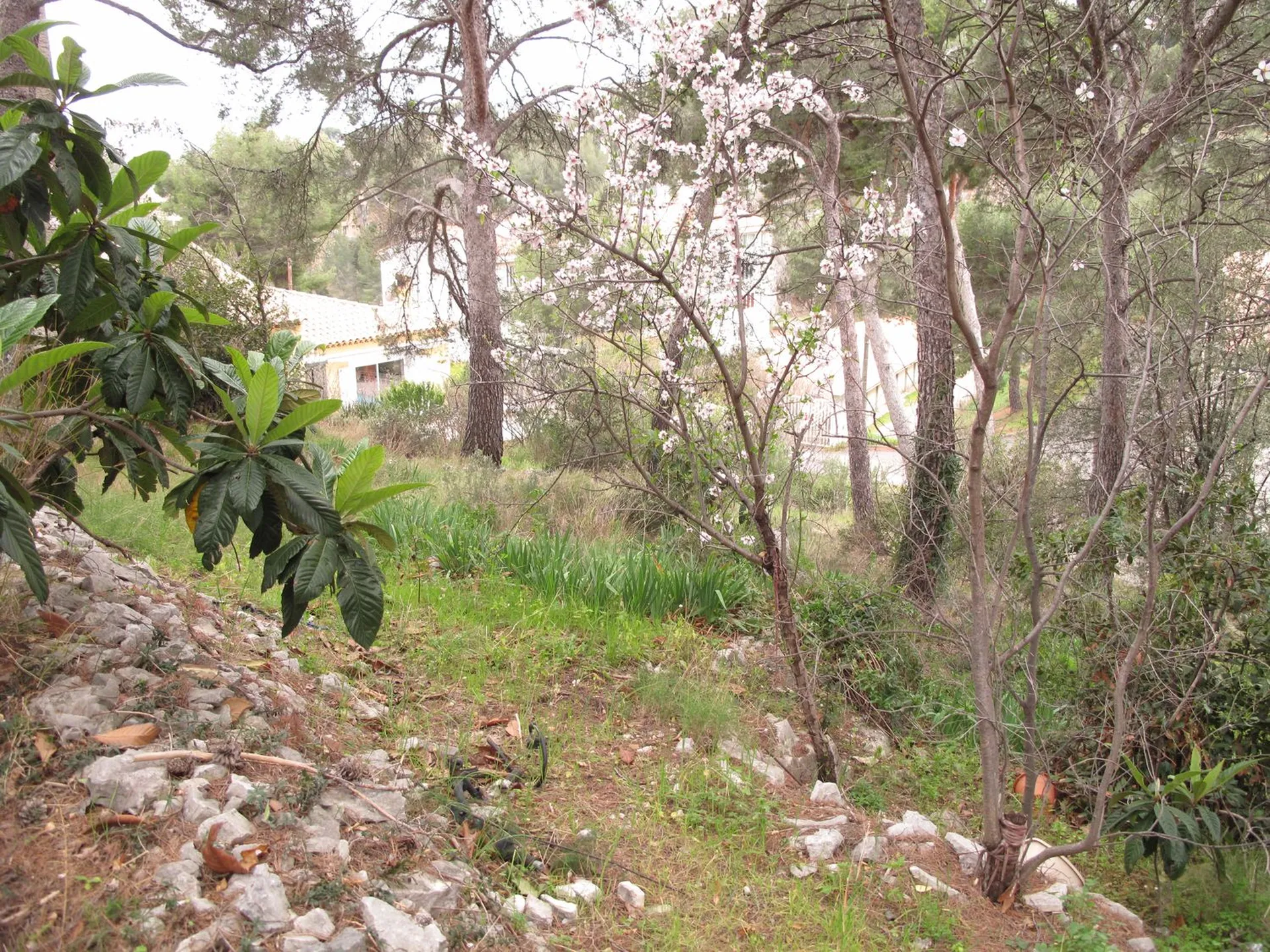 Cassis maison à vendre