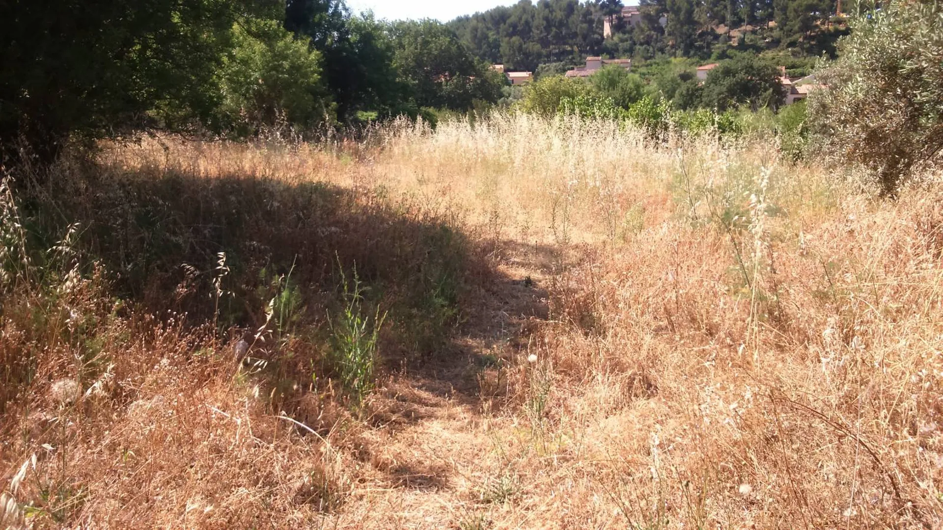 tarif jardinier paysagiste  allauch