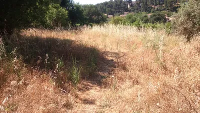 tarif jardinier paysagiste  allauch