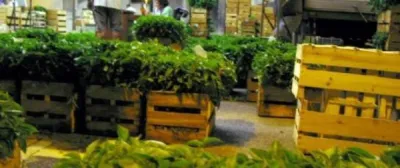 Marché d'Intérêt National Marseille Provence Métropole