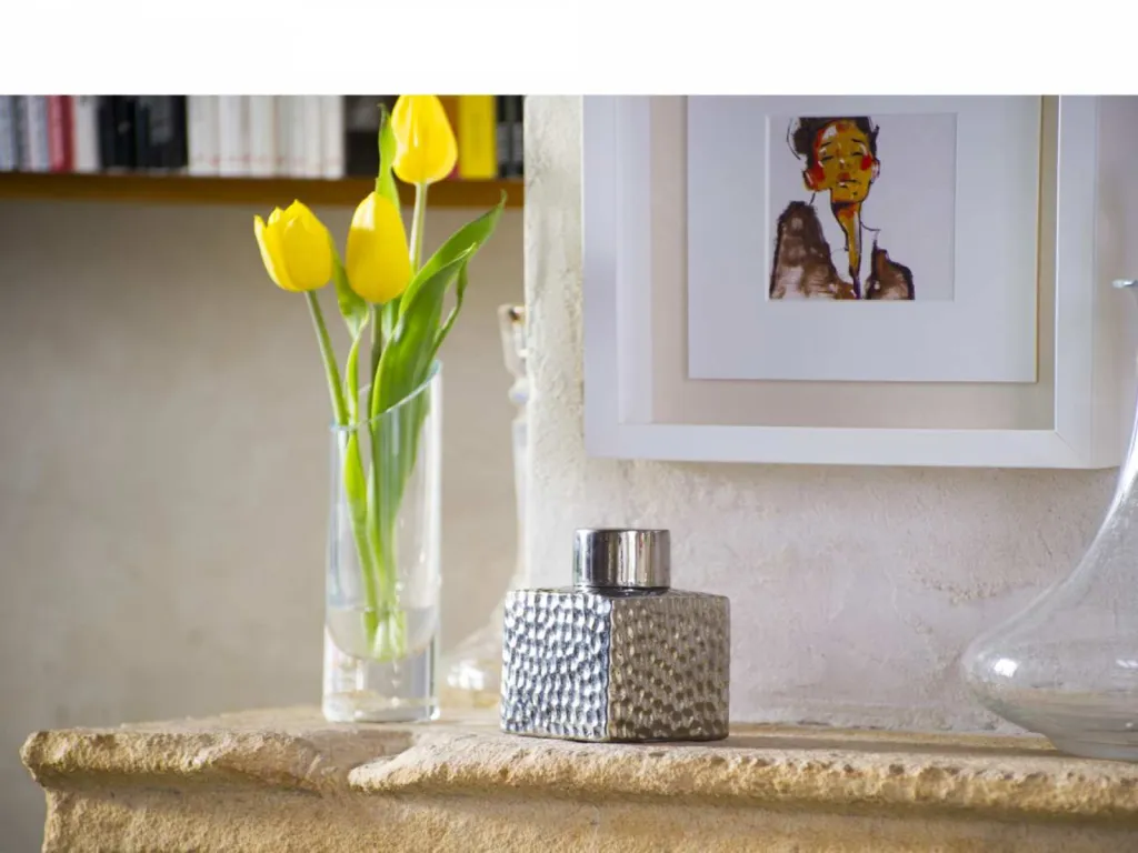 photo lifestyle mise en situation du produit dans un salon