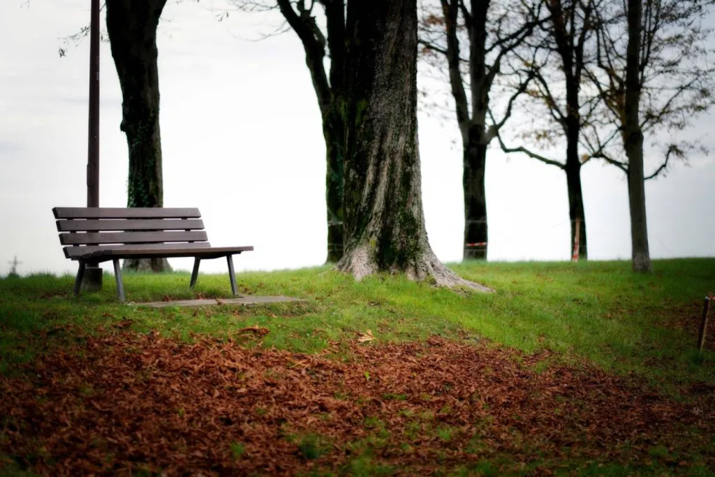 banc public dans parc