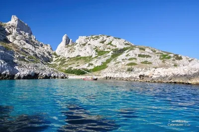 Explorez la Réserve Naturelle de l'Île de Riou avec L'Eden Boat : Des Excursions Captivantes au Départ de La Ciotat et Cassis