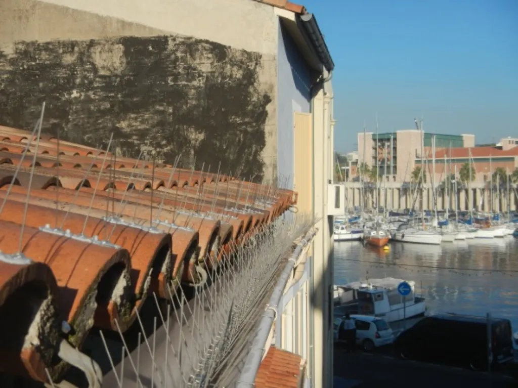 pic anti pigeon martigues