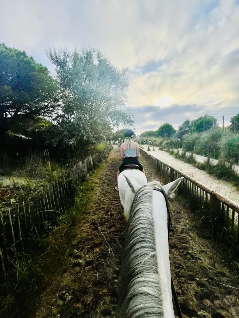 Balade à  cheval découverte de 1 heure dans les marécages de Camargue