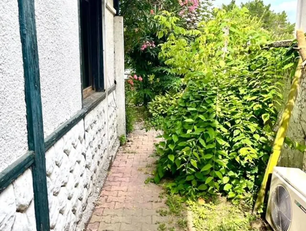 Maison Bel Air / Primrose Agence immobilière Caudéran Arnaud Droulers immobilier