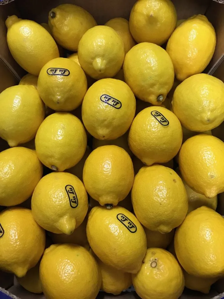 Citron jaune LuLu disponible à Ma Ferme proche d'Aix-en-Provence