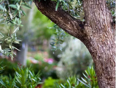 Service d'aménagement paysager dans le Vaucluse