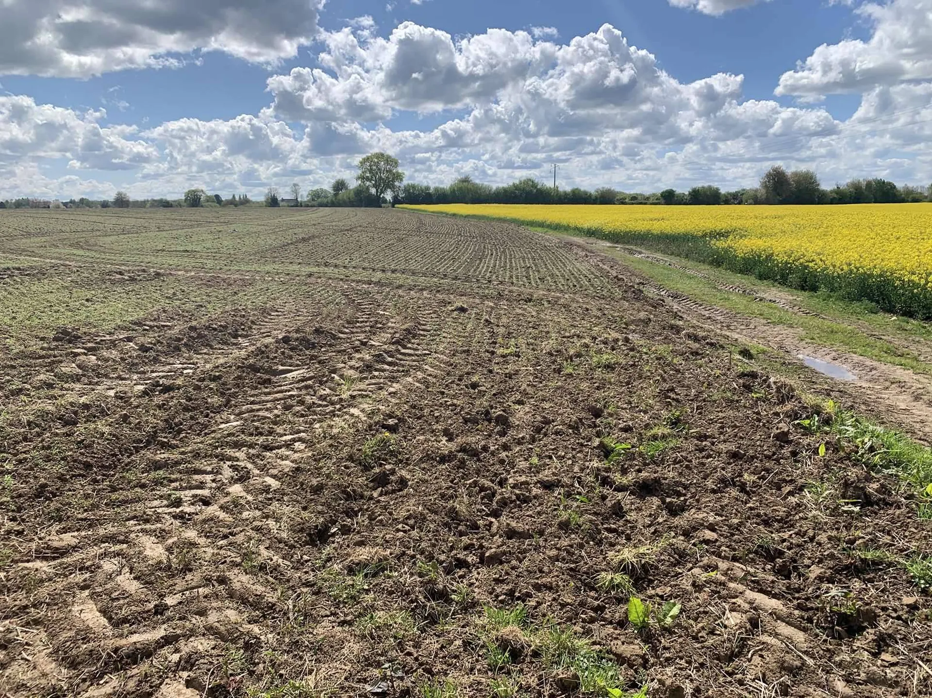 PAYS D'AUGE NORD : EN EXCLUSIVITE : A ACQUERIR REGION HONFLEUR : 35 HA de TERRES