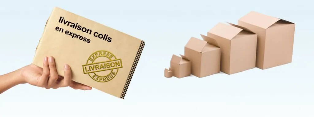 Transporteur express de colis sur palettes Marseille