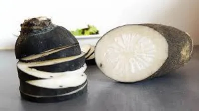 Programme de détoxification du foie à base de radis noir, artichaut et pissenlit disponible à Belleville-en-Beaujolais Rhône 69