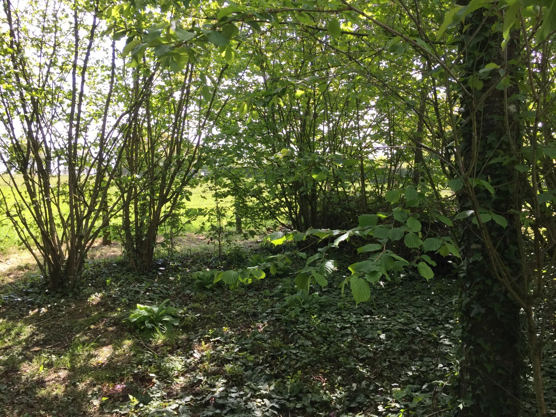 MAISON NORMANDE Région CAMBREMER, Pays d'Auge, Calvados 14