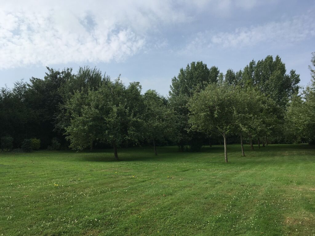 VEND MAISON DE CARACTERE A 10 MINUTES DE LISIEUX, CALVADOS 14