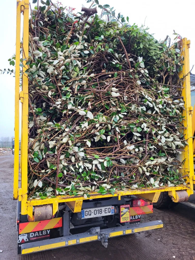 benne paysagiste déchet vert lillebonne
