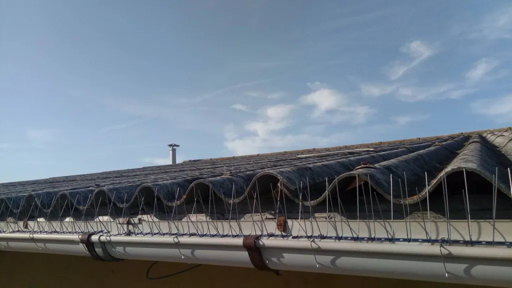 piques pigeon pas cher 13100