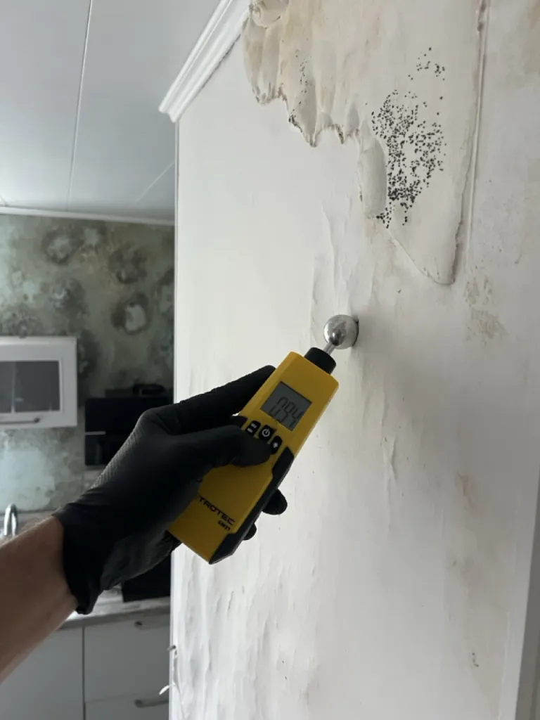 Photo d'une intervention de détection de fuite après un dégât des eaux à Orléans dans le 45