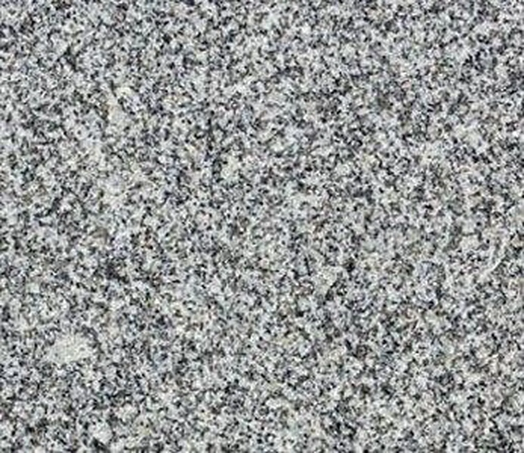 DALLAGE EXTERIEUR EN GRANIT GRIS