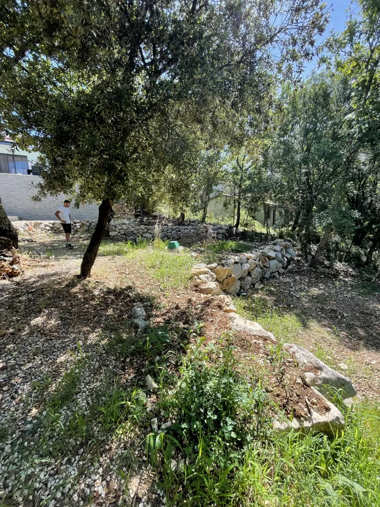 Création de massifs méditerranéens et plantation d’arbustes résistants à Montpellier et dans l’Hérault