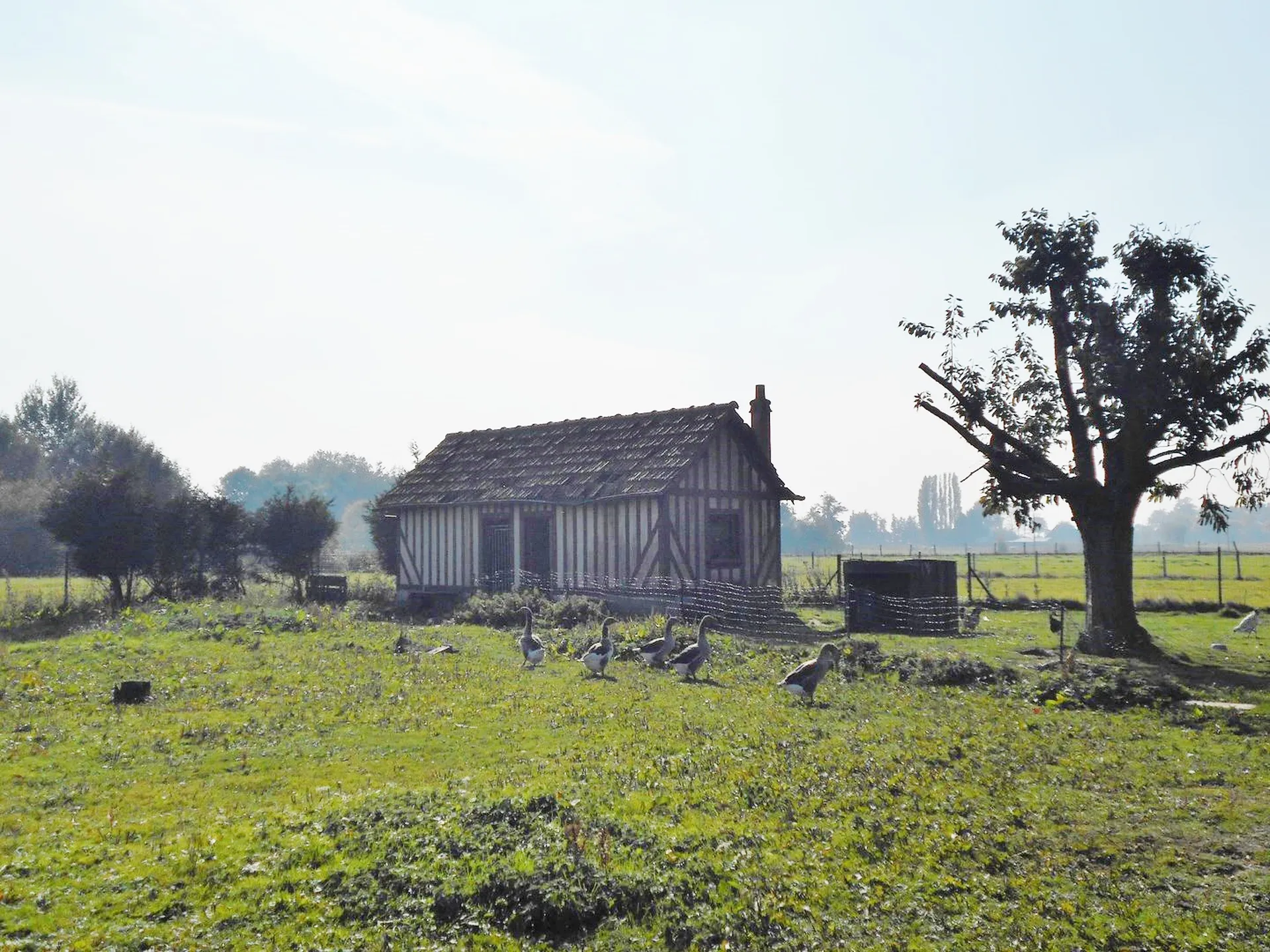 MAISON NORMANDE Entre BERNAY et THIBERVILLE